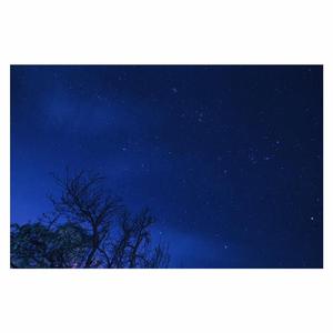 殴美成人一二区
