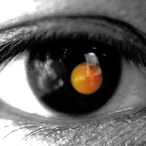 殴美成人一二区
