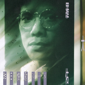 殴美成人一二区
