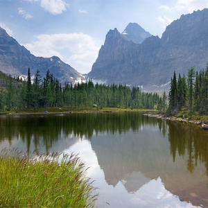 殴美成人一二区
