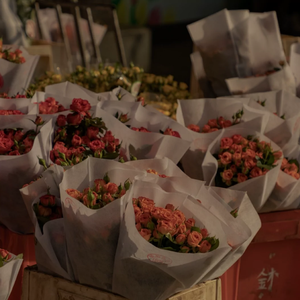 殴美成人一二区
